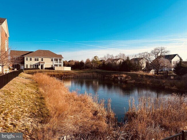 Building Photo - 25576 Tolar Square