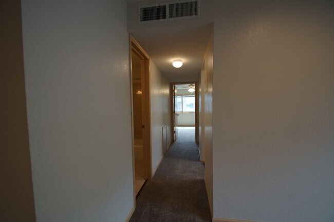 Building Photo - Fully Renovated Appaloosa Suite
