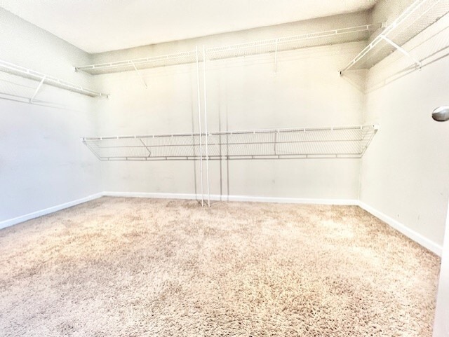 Building Photo - 3035 S Wild Turkey Dr