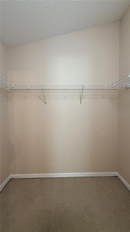 Building Photo - 2406 Violet Ct