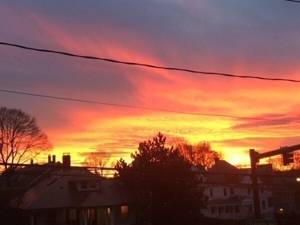 Building Photo - 225-227-227 Trapelo Rd