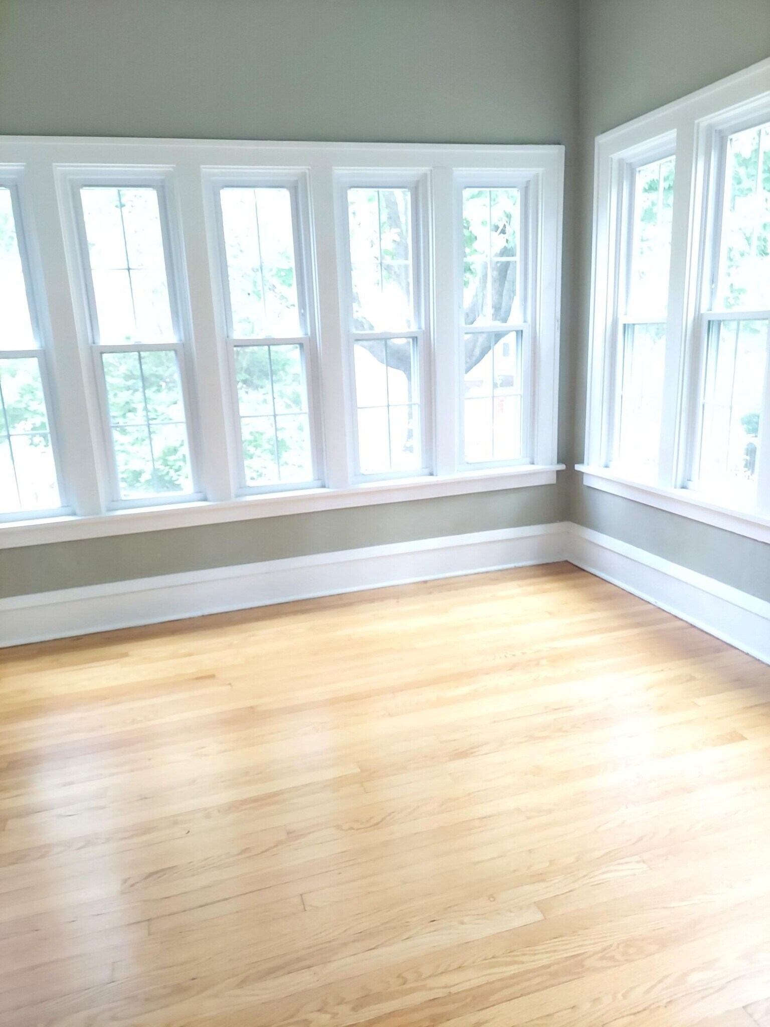 Sun room - 705 W Healey St