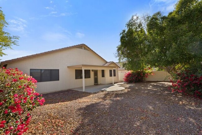 Building Photo - Beautiful Alta Mesa Home!