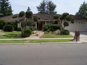 Building Photo - Nice mature landscaping, cool quite home