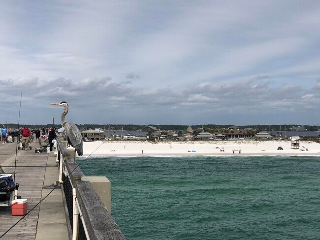 Building Photo - 7482 Autumn Trace Blvd