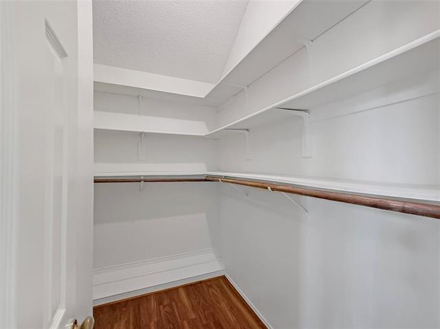 Building Photo - 2708 Crystal Falls Dr