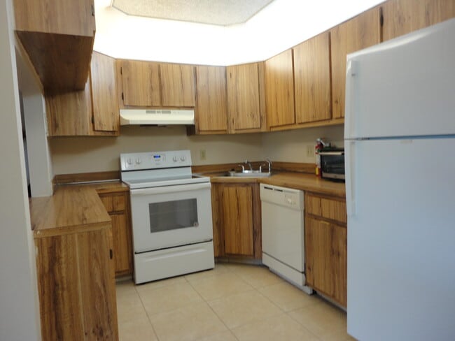 Building Photo - 523 Shady Pine Way