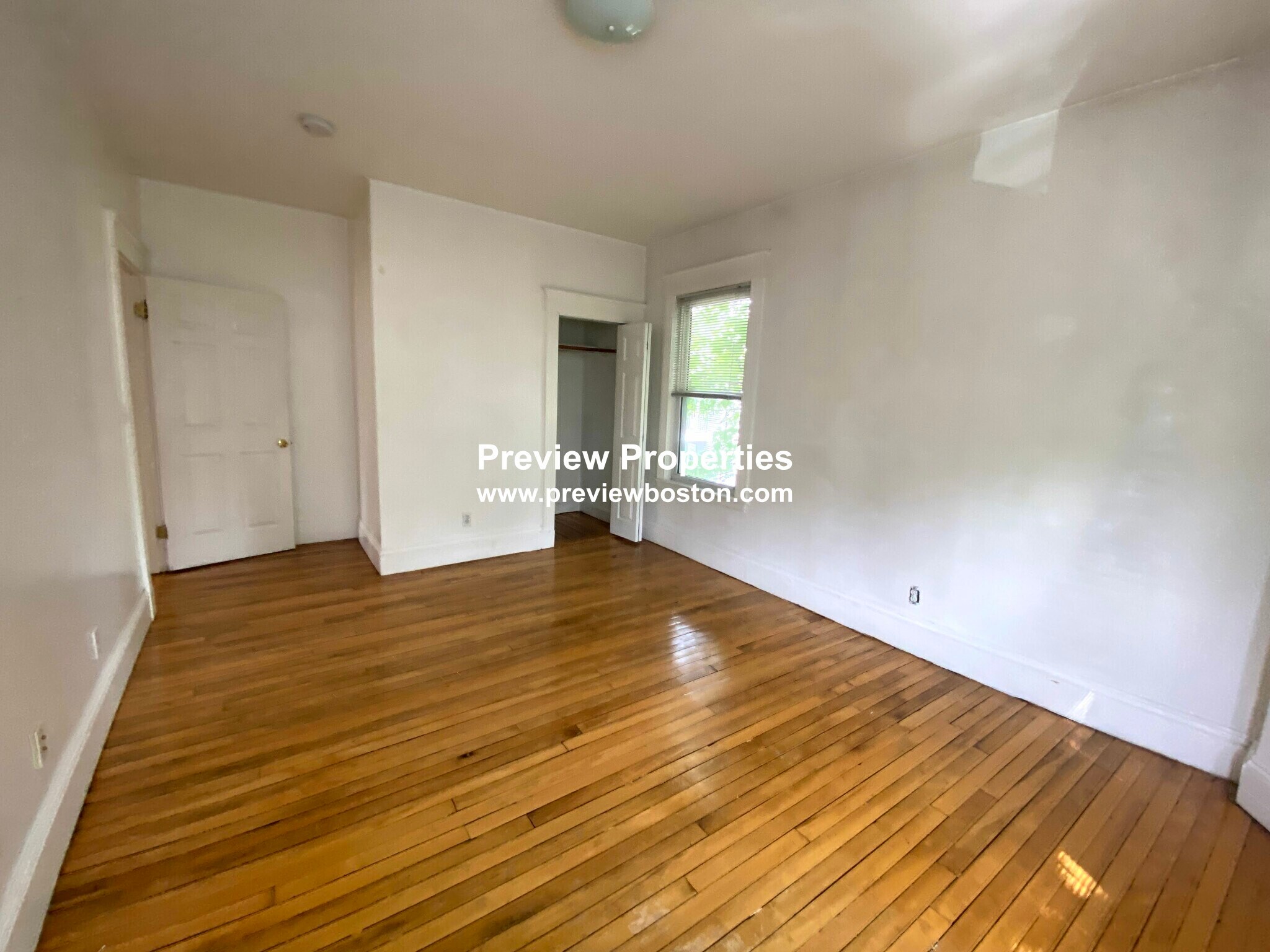 Building Photo - 44 Champney St