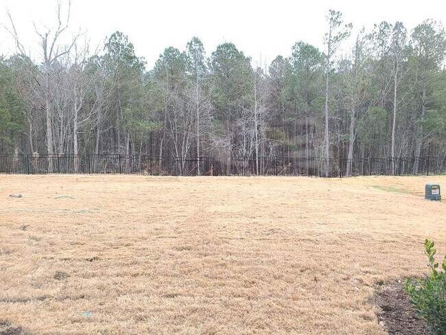 Building Photo - 1035 Falling Rock Pl