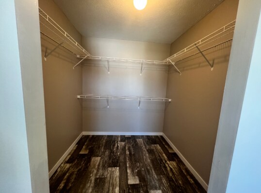 Building Photo - 37470 Burrstone Ln