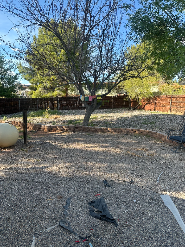 Building Photo - 685 Ocotillo Cir