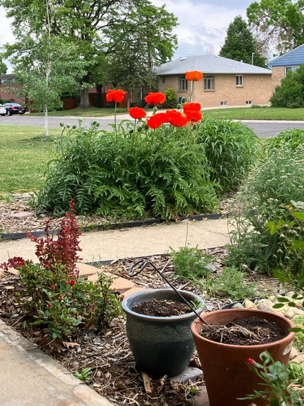 Building Photo - 5735 Everett St