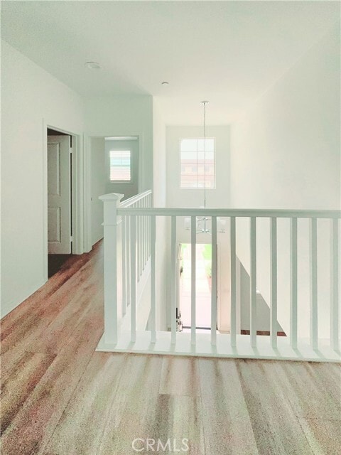 Building Photo - 12906 Shorthorn Dr