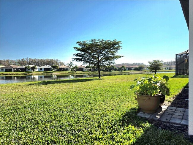 Building Photo - 11559 Shady Blossom Dr