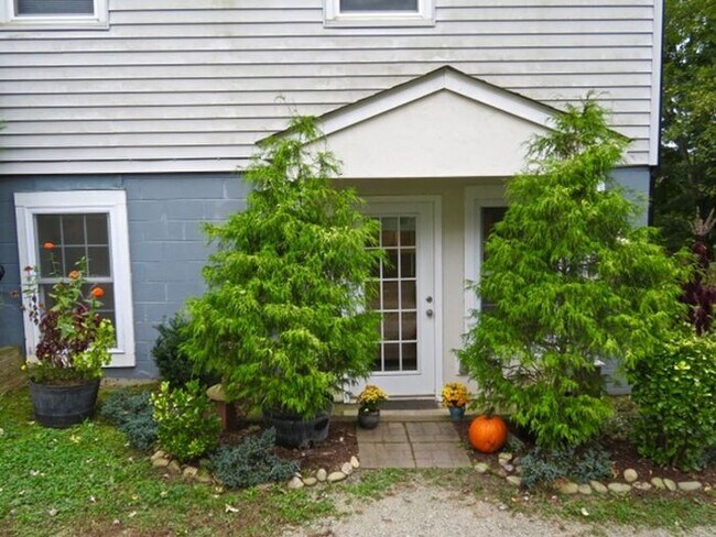 Primary Photo - Charming West Asheville Basement Apartment