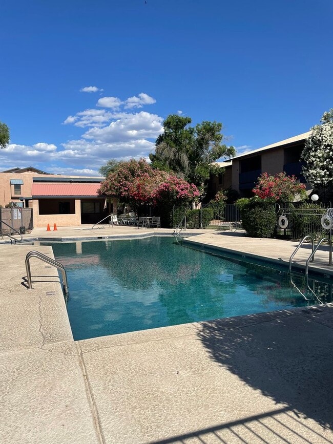 Building Photo - Large 1 Bedroom 1 Bath Condo!