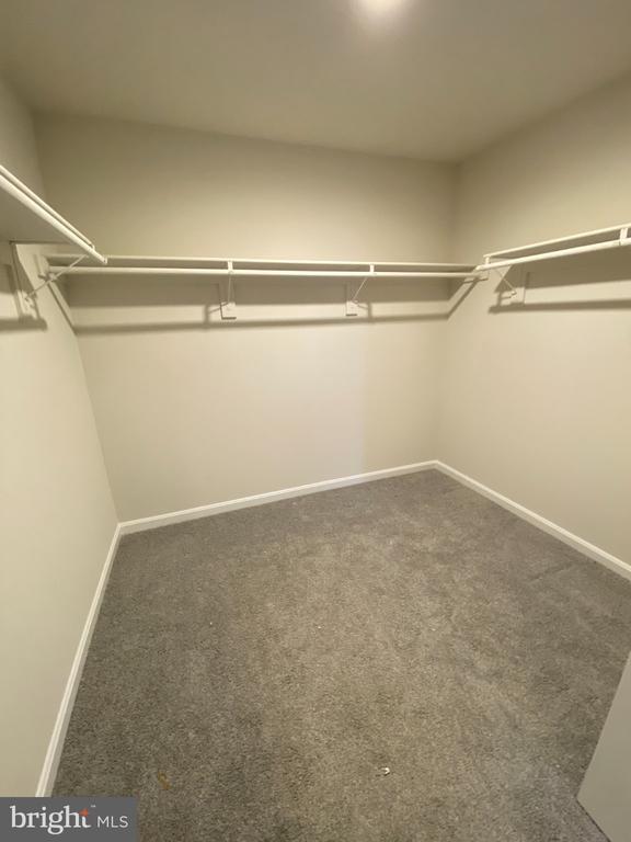 Building Photo - 127 Whimbrel Rd
