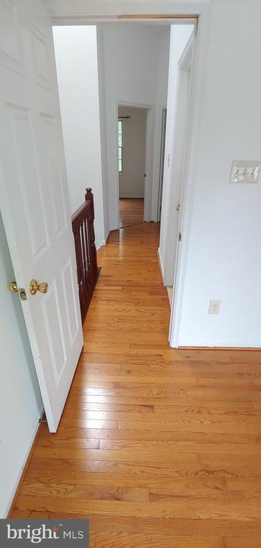 Building Photo - 20 Merino Ct