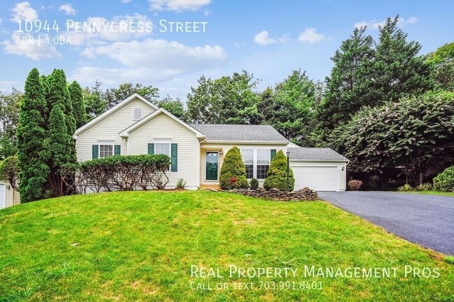 Primary Photo - 10944 Pennycress St