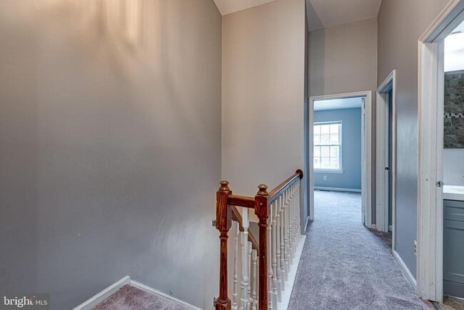 Building Photo - 8508 Blue Bird Woods Ct