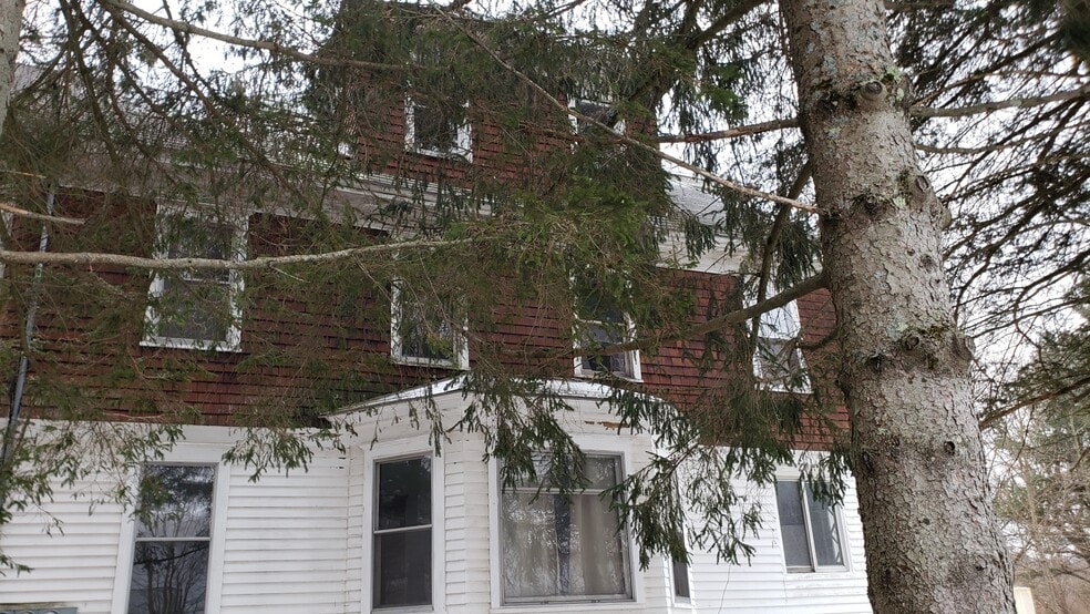 Hemlocks provide privacy - 10 South St