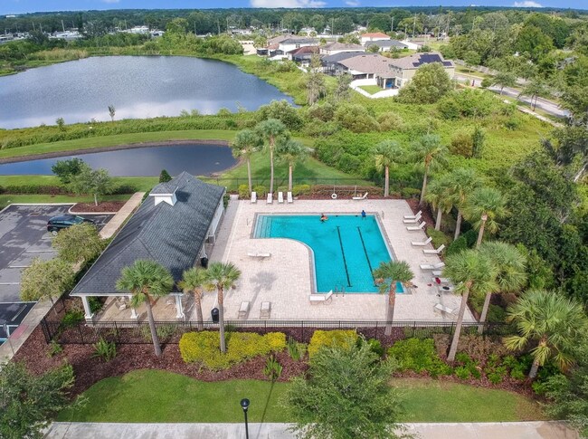 Resort style cabana pool - 10606 Laguna Plains Dr