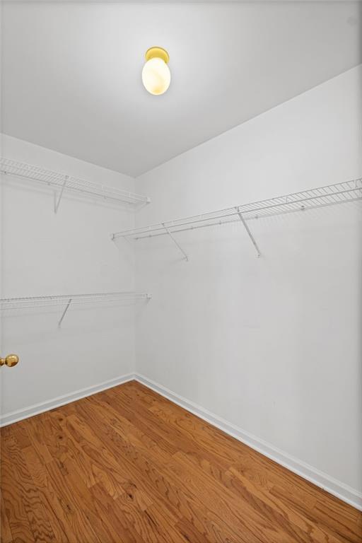 Building Photo - 1821 Willow Branch Ln