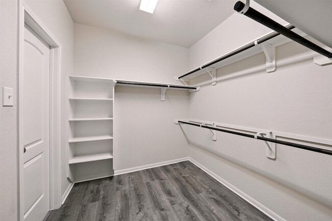 Building Photo - 3022 Aloria Hls Trl