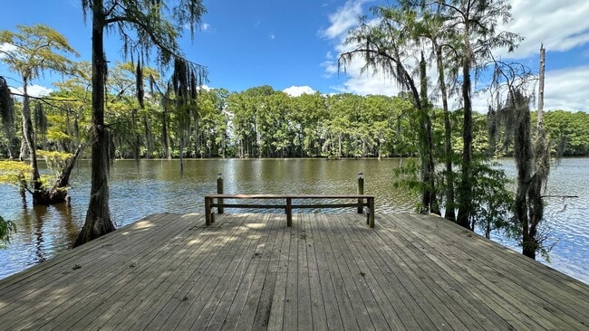 Building Photo - Cute Tiny Home on the Bayou!