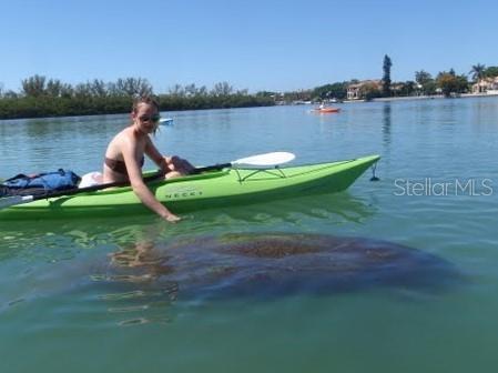 Building Photo - 8362 Santa Cruz Dr