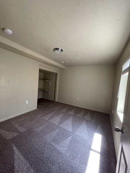Basement bedroom - 466 E Apple Grove Ln