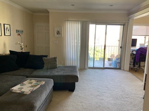 Living Room - 423 Pier Ave