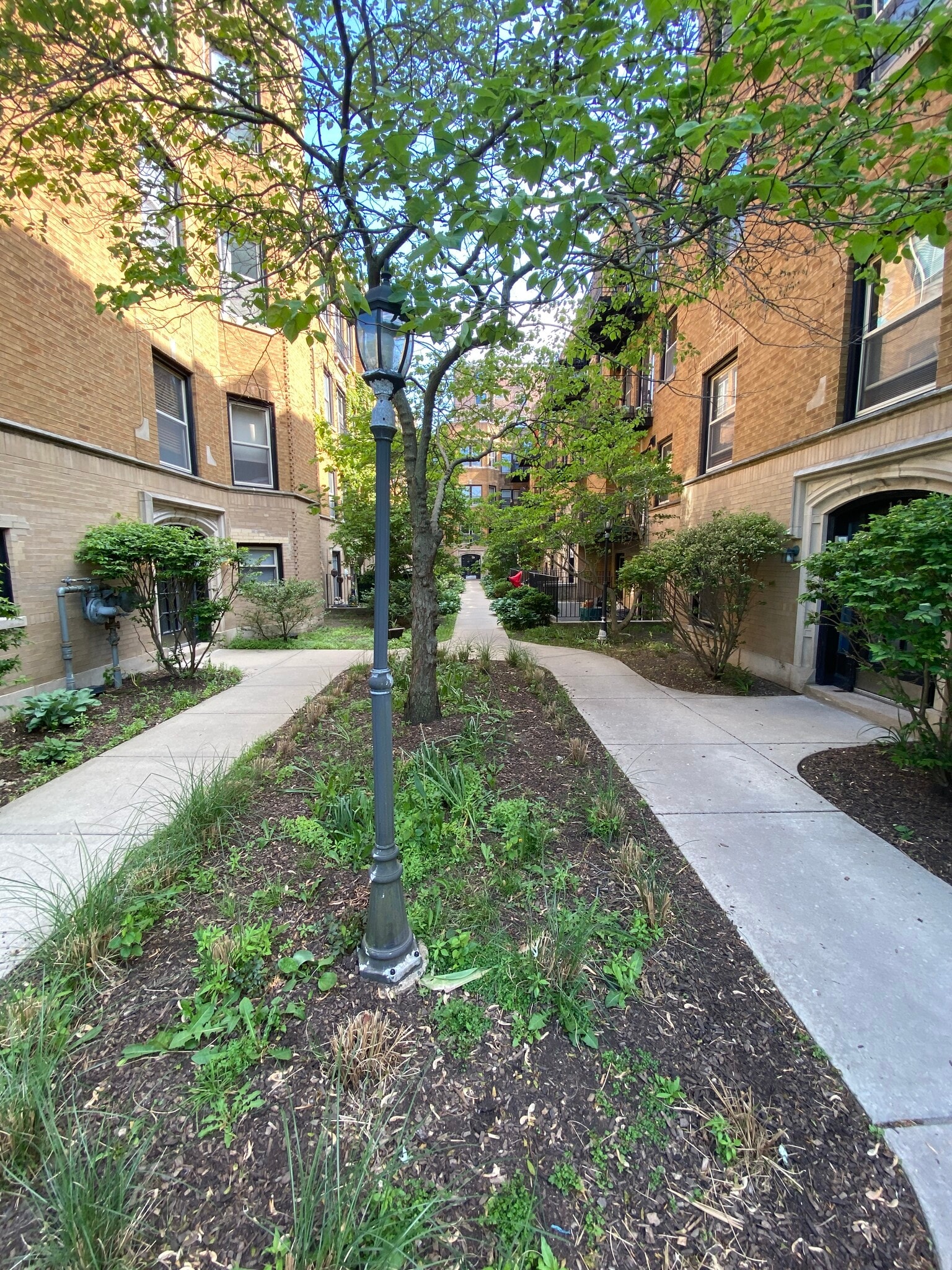 Building Photo - 1223 W Greenleaf Ave