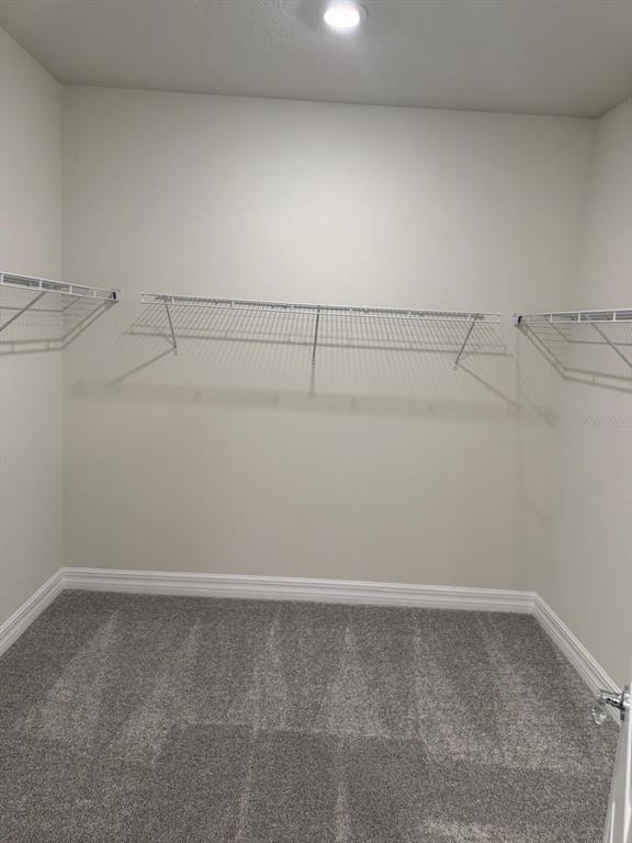 Building Photo - 1526 Timber Leaf Rd