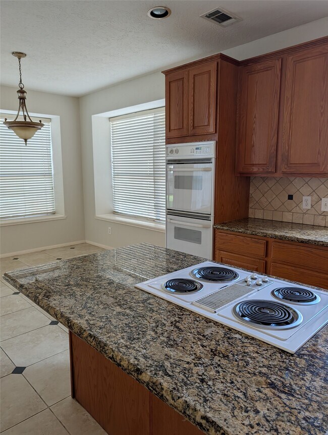 Building Photo - 15222 Holland Fields Cir