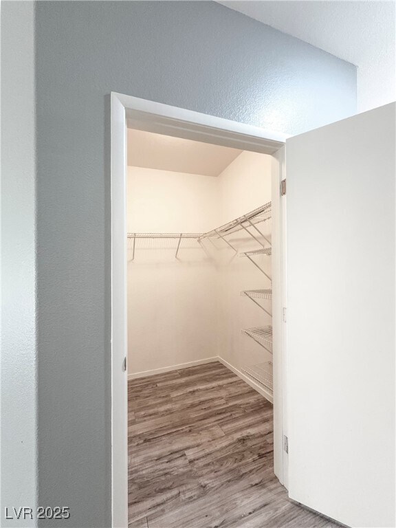 Building Photo - 50 Aura de Blanco St