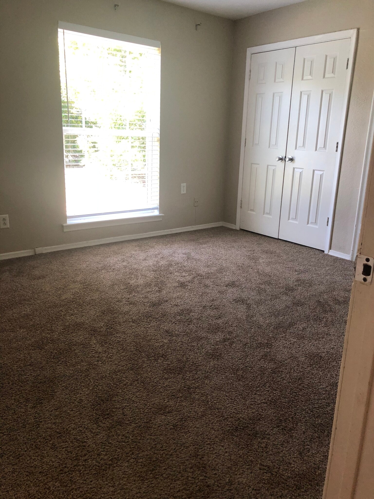 Downstairs Bed - 7624 Thistle Ln
