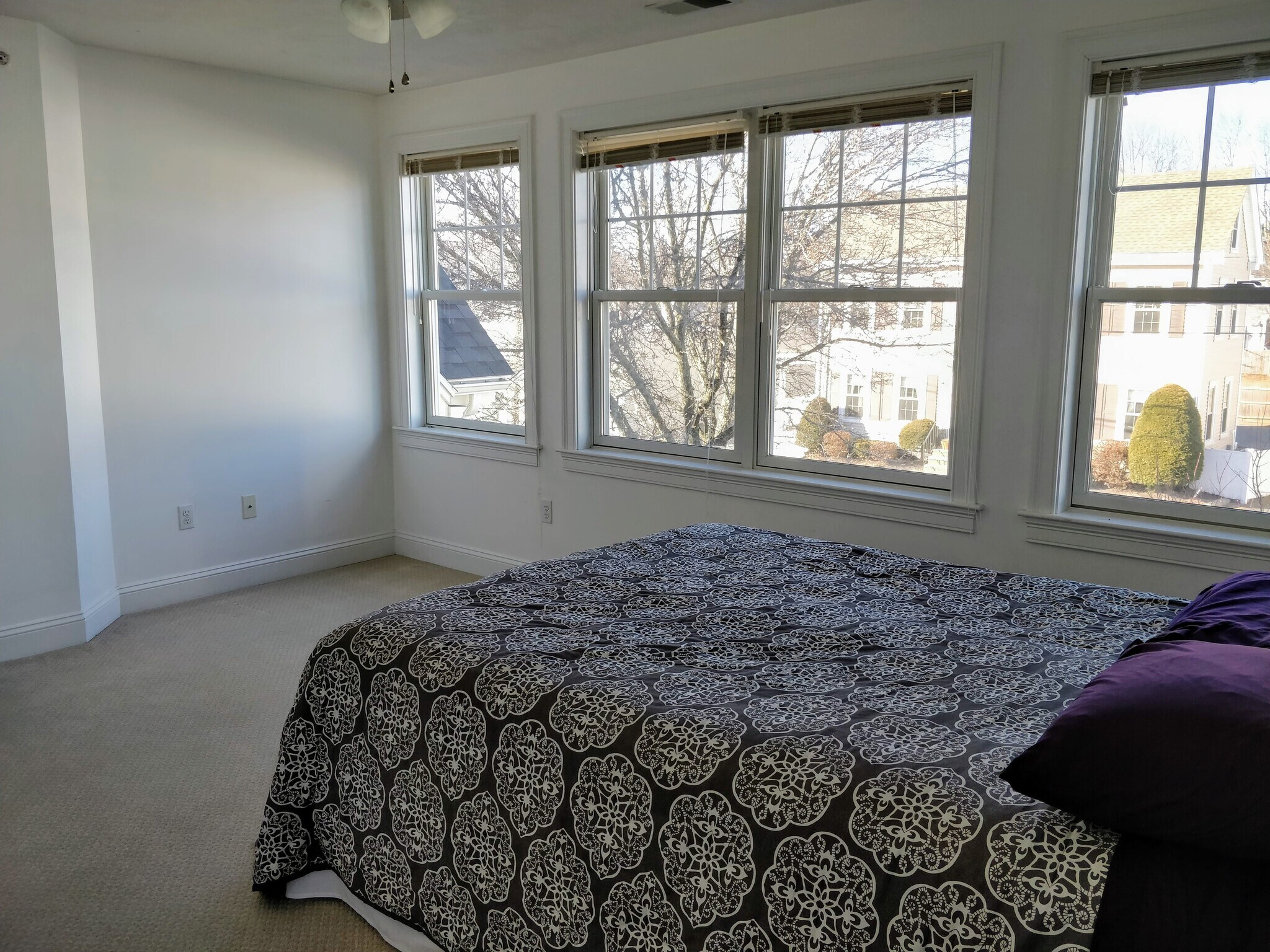 Building Photo - 74 Elm St