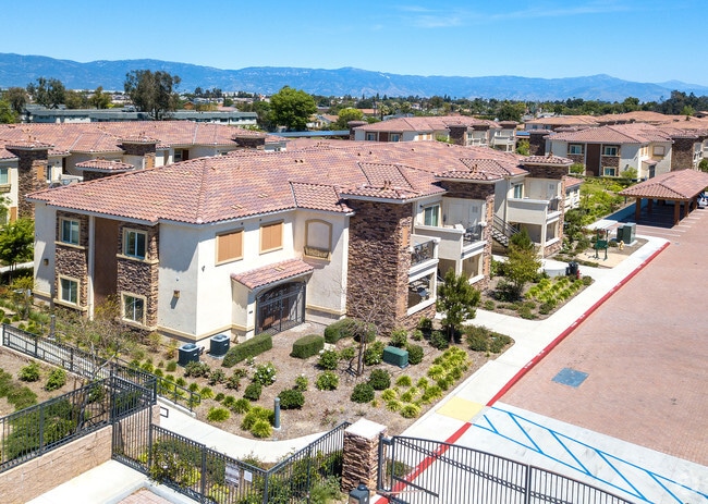 Primary Photo - Siena Apartments