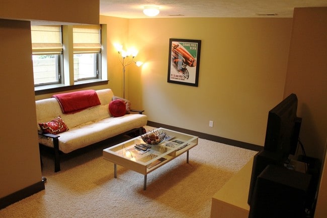Living Area (Basement) - 900 Blodgett St SE