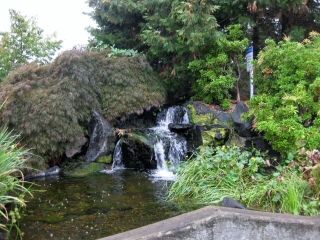 Building Photo - Gorgeous Well-Maintained Home located in the Cedar Brook Neighborhood in Sherwood.