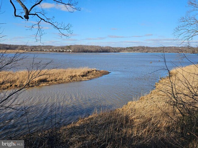 Building Photo - 3108 Sounding Dr