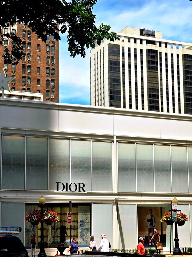 Building Photo - 40 E Delaware Pl
