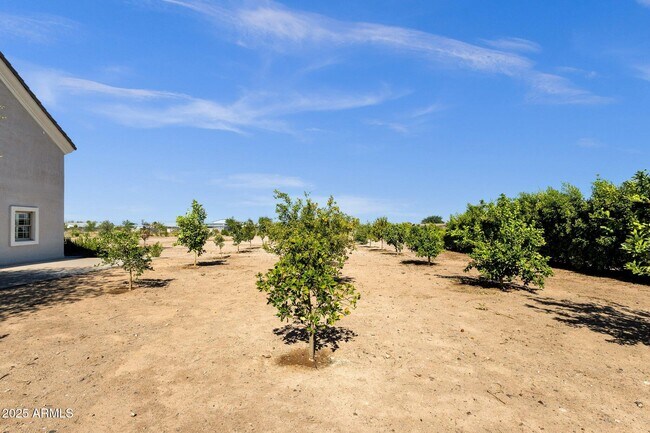 Building Photo - 856 W Quail Cir