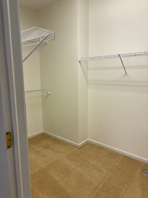 Building Photo - 11728 Tanglewood Ln