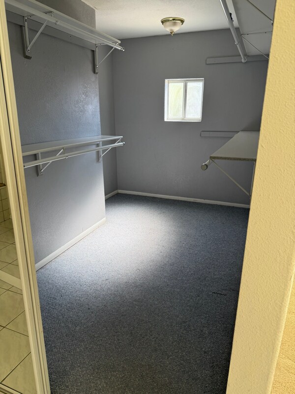 Building Photo - 4112 Lexington Ct