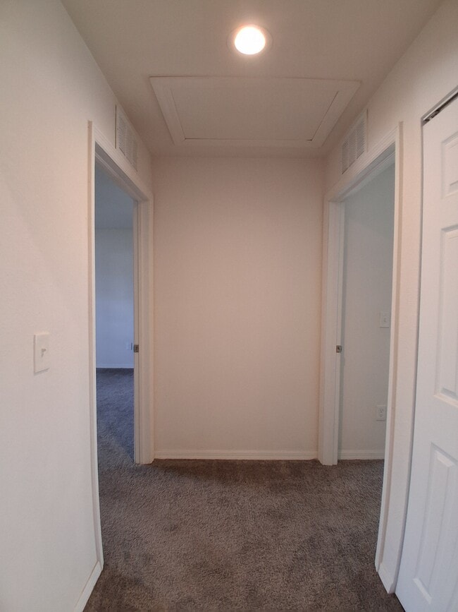 Building Photo - 7061 Tide Cir