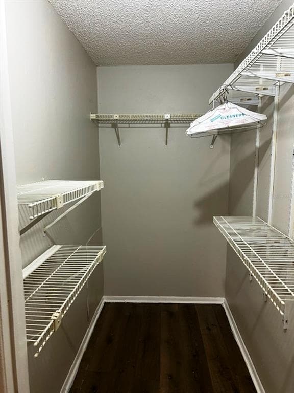 Building Photo - 4024 Dream Oak Pl