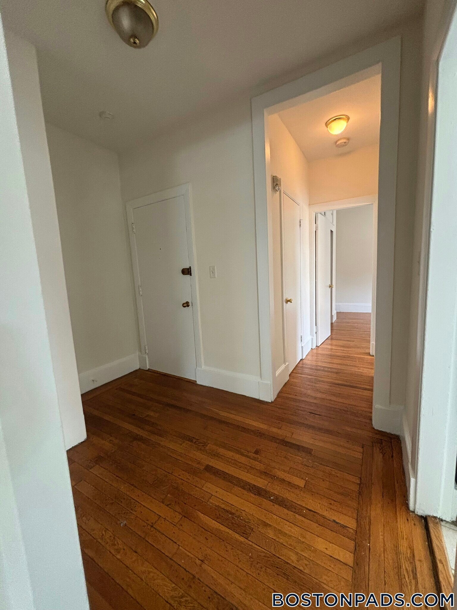 Building Photo - 1539 Beacon St