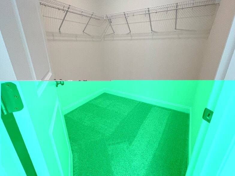 Building Photo - 6306 Lady Eliza Ln